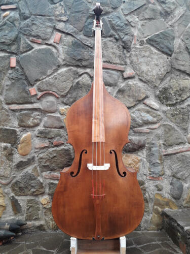 Pioppino-2015-gianluca-pierozzi-01