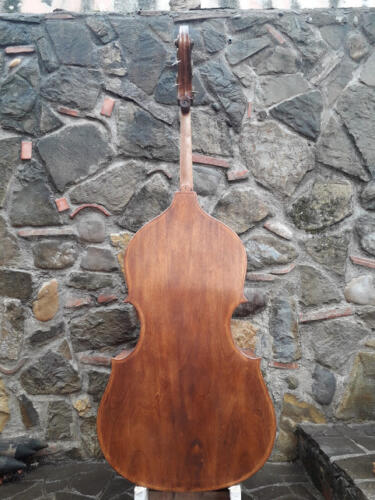 Pioppino-2015-gianluca-pierozzi-03