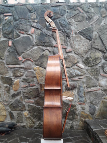 Pioppino-2015-gianluca-pierozzi-04