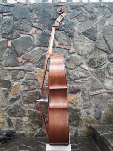 Pioppino-2015-gianluca-pierozzi-05