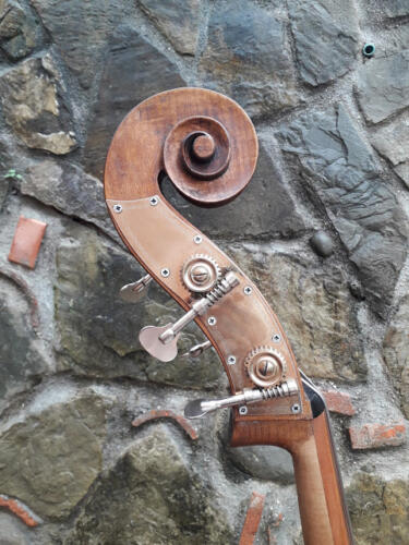 Pioppino-2015-gianluca-pierozzi-09