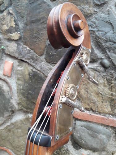 Pioppino-2015-gianluca-pierozzi-12