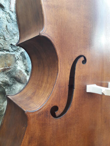 Pioppino-2015-gianluca-pierozzi-13