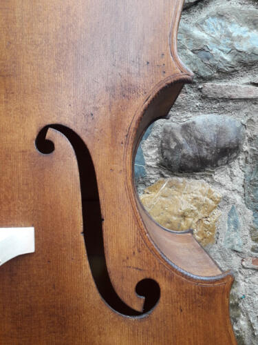 Pioppino-2015-gianluca-pierozzi-15
