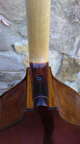 bassetto-nerone-2016-pierozzi-10 (2)