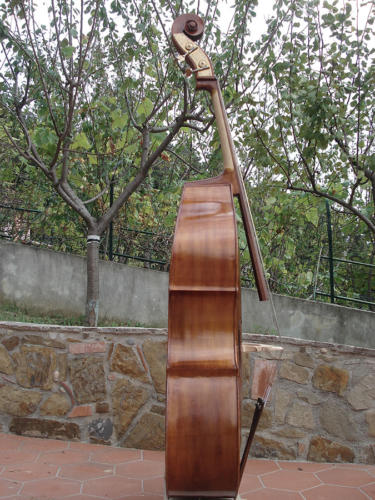 contrabbasso-2009-rustico-3