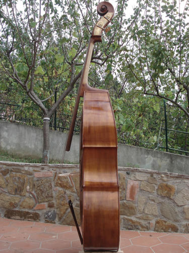 contrabbasso-2009-rustico-4