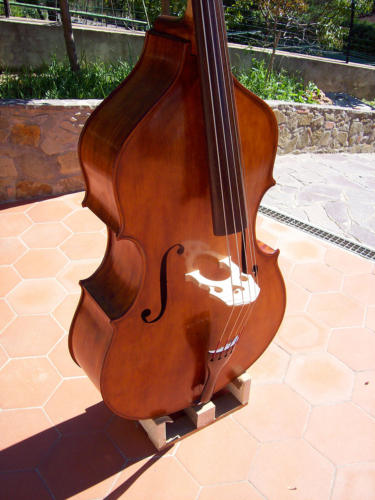 contrabbasso-5-corde-2010-pierozzi-2