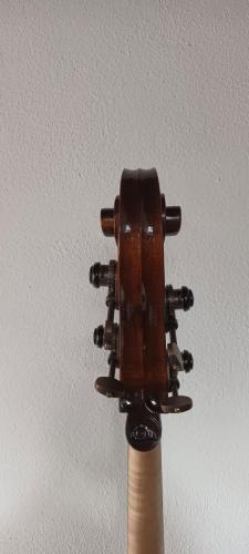 Pera Pareschi 1946