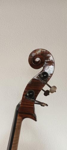 Pera Pareschi 1946