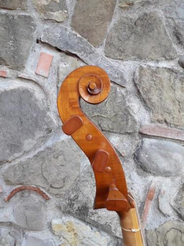 violone-G-Pierozzi-1