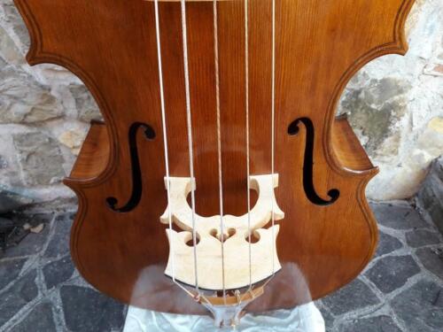 violone-G-Pierozzi-10