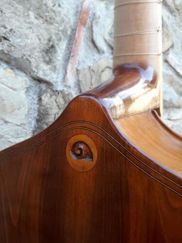 violone-G-Pierozzi-11