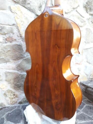 violone-G-Pierozzi-12