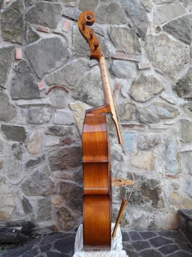 violone-G-Pierozzi-2
