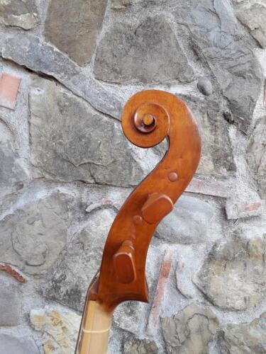 violone-G-Pierozzi-3