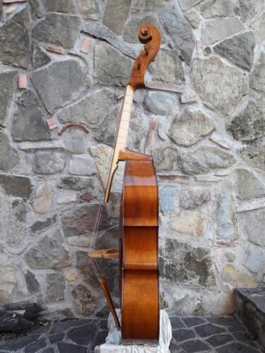 violone-G-Pierozzi-4