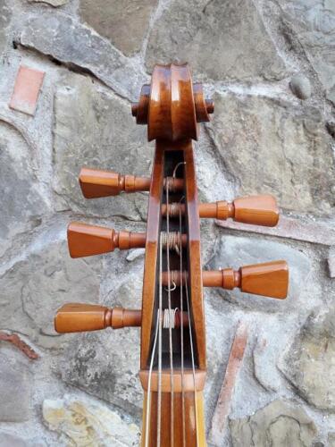 violone-G-Pierozzi-7