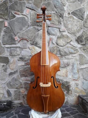 violone-G-Pierozzi-8