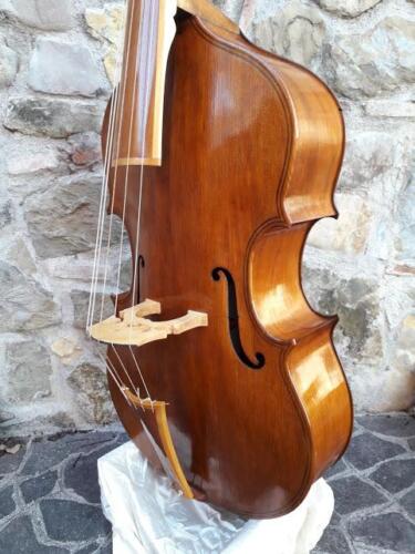 violone-G-Pierozzi-9