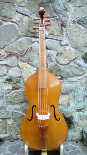 violone-g-2016-pierozzi-1