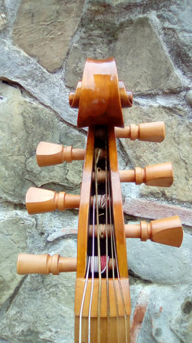 violone-g-2016-pierozzi-2