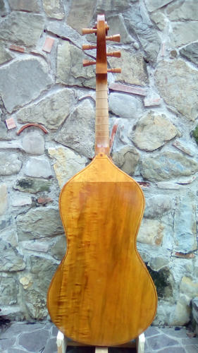 violone-g-2016-pierozzi-3