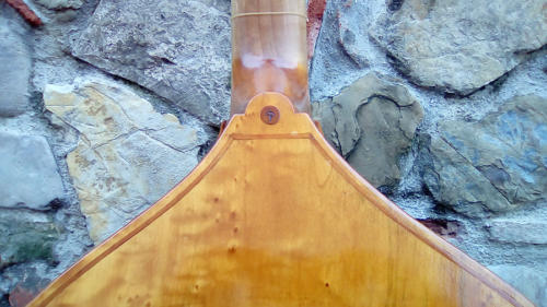 violone-g-2016-pierozzi-4
