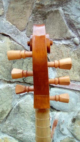 violone-g-2016-pierozzi-5