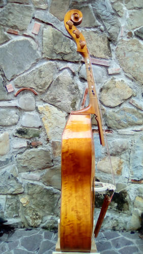 violone-g-2016-pierozzi-6