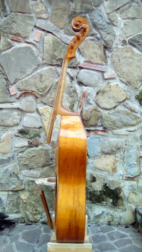violone-g-2016-pierozzi-8