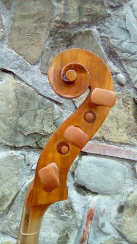 violone-g-2016-pierozzi-9